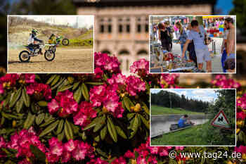 Es ist richtig viel los! Unsere Tipps für Euren Sonntag in Chemnitz und Umgebung - TAG24