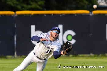 Victoria HarbourCats dive back into the diamond after 2 cancelled seasons – Saanich News - Saanich News