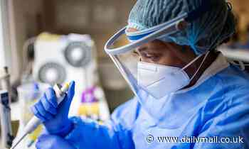 Gene tests for cancer and heart disease could be start of healthcare revolution, researchers say 