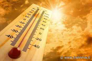 La Puglia si prepara ai 40°C nei prossimi giorni: c'è il rischio siccità - TraniViva