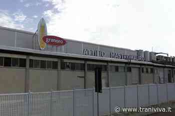 Pasta Granoro, Mastromauro: "La produzione continua, niente licenziamenti, ma stiamo lavorando in perdita" - TraniViva