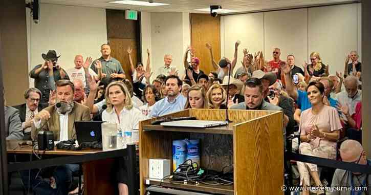 AP Refers to Election Integrity Experts as 'Conspiracy Theorists' in Report on AZ Senate Hearing