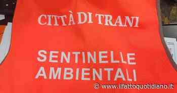 Blog | A Trani i percettori di reddito di cittadinanza diventano sentinelle ambientali: un modello per il futuro - Il Fatto Quotidiano - Il Fatto Quotidiano