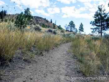 Bewildered parkgoer stumbles upon military exercise in Kamloops park - Vancouver Sun