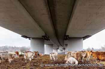 Das größte Bauwerk Deutschlands im Fotoband: So betörend, so brutal: die Autobahn - Stuttgarter Nachrichten