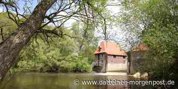 Liebe Stadt Olfen und lieber Kreis Coesfeld: Augen auf beim Mühlenkauf - Dattelner Morgenpost