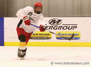 Hope eager to improve for WHL dream - The Brandon Sun