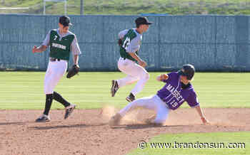 INSIDE THE PARK: Vikings swinging for fence at provincials - The Brandon Sun