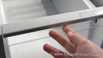 I’m a pro money saver – keep your food fresh for way longer with a simple fridge swap... - The Scottish Sun