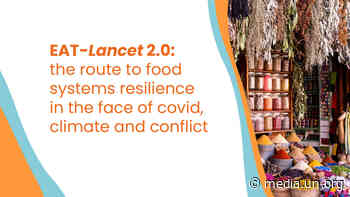 Press Conference: EAT-Lancet 2.0: the route to food systems resilience in the face of covid, climate and conflict (Stockholm+50, 2-3 June 2022) - UN Web TV