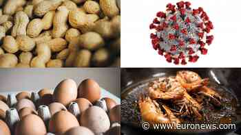Immune system wonder: Food allergy provides protection from COVID, NIH study finds - Euronews