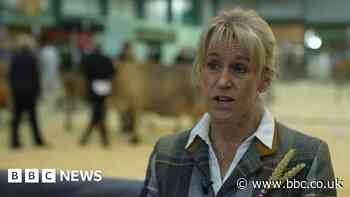 Staffordshire County Show: Farming sector needs food strategy - BBC