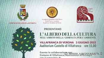 L'Albero della Cultura torna con un evento a Villafranca di Verona - VeronaSera