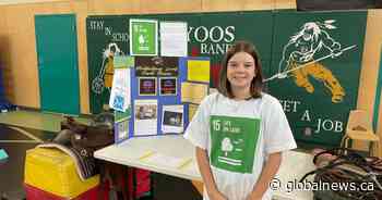 Grade 6 student prompts government to install feral horse signs in Oliver, B.C. - Global News