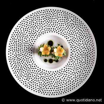 Capesante con noci maturate in cera d'api, camomilla, diverse sfumature di limone e tuberi insoliti - Itinerari - QUOTIDIANO NAZIONALE