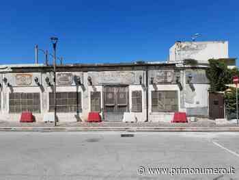 Ex locale Fuori rotta, Roberti: “Bando secondo codice appalti, Termoli appetita dalle mafie” - Primonumero