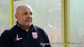 Taranto, idea Tedino per la panchina: anche la Pro Vercelli su di lui - TuttoCalcioPuglia.com