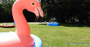 Speelpleinwerking Ichtegem introduceert gloednieuwe speelpleinbadge | Ichtegem | hln.be - Het Laatste Nieuws