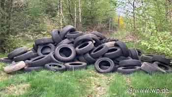 Siegen: Fies – 80 alte Reifen im Wald illegal entsorgt - WP News