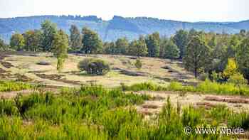 Rund um Siegen: Die besten Ausflugsziele fürs 9-Euro-Ticket - WP News