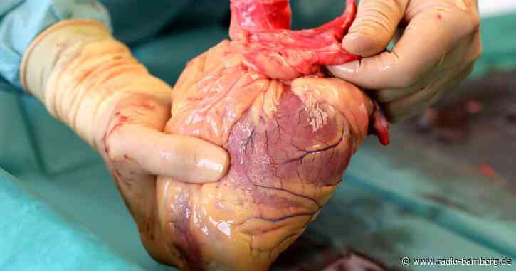 Zahl der Organspenden in Bayern leicht gesunken