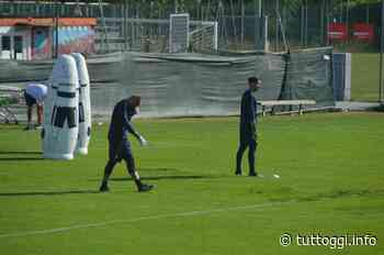 Grifo, sirene da Cremona non solo per mister Alvini - TuttOggi