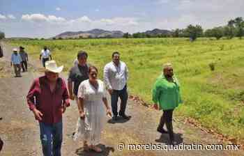Brinda Sedagro atención a productores en Temixco y Tepalcingo - Quadratín Morelos