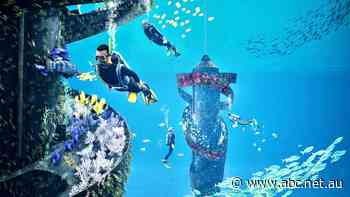 Gold Coast's new 'underwater theme park' opens to tourists this month