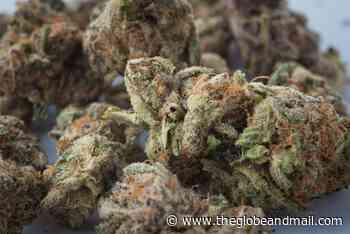 Cannabis company Choom obtains creditor protection, interim financing from Aurora - The Globe and Mail