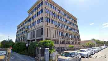 Bari, nella nuova business school per la prima volta insieme Politecnico e imprenditori: "Sarà la migliore de… - La Repubblica