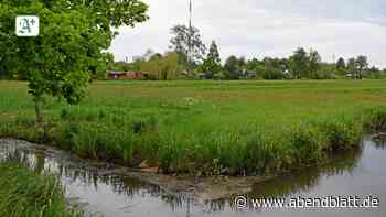 Billwerder: Naturschützer wollen Bau des Schaustellerplatzes verhindern - Hamburger Abendblatt