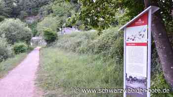 Dach für Holländer-Riesen - Flößer wollen Schau-Baumstamm vor Nässe schützen - Schwarzwälder Bote