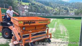 Schramberger Bernecksportplatz - Neuer Kunstrasen für Kleinspielfeld - Schwarzwälder Bote