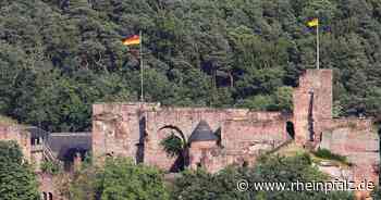 Heimatfreunde: Burgspiele stehen im Juni auf dem Programm - Landstuhl - Rheinpfalz.de