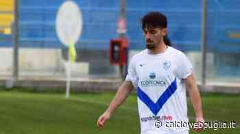 Brindisi, inserimenti per Michele Silvestro: il club pensa al rinnovo del giocatore - calcioWEBpuglia
