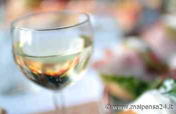 “Calici d'Italia” fa tappa in piazza a Gallarate - malpensa24.it