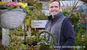Award-winning Kildare gardener shares his tips and new projects - Kildare Live