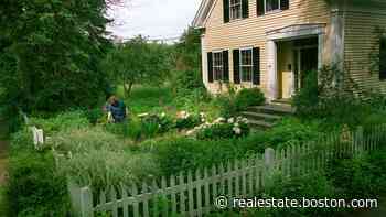 Ask the Gardener: Tour the most beautiful gardens, including mine - realestate.boston.com
