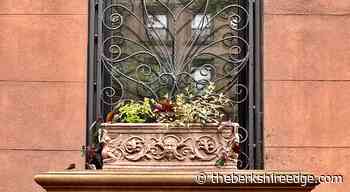 THE SELF-TAUGHT GARDENER: Plays well with others - theberkshireedge.com