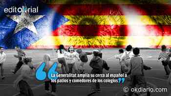 Y Pedro Sánchez, de rodillas - Okdiario