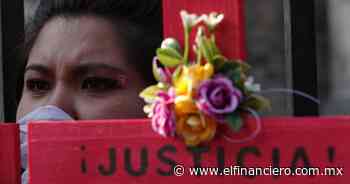 Capturan al presunto feminicida de Erika Sánchez en Oaxaca; fue asesinada en 2019 - El Financiero