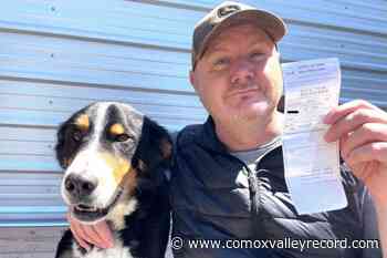 Tofino restaurant worker fighting ticket for sleeping in van – Comox Valley Record - Comox Valley Record