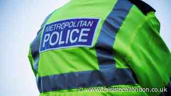 Orpington man fined for carelessly driving Toyota near Buckingham Palace