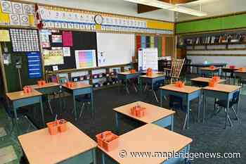 BC elementary school teacher suspended for cracking backs, pinching trapeziuses – Maple Ridge News - Maple Ridge News