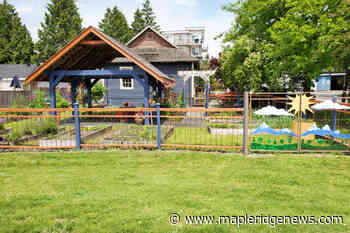 Maple Ridge society to throw free family block party – Maple Ridge News - Maple Ridge News