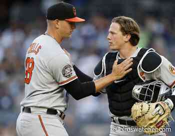 Tyler Wells: Baltimore Orioles Stalwart from Bullpen to Rotation - Birds Watcher