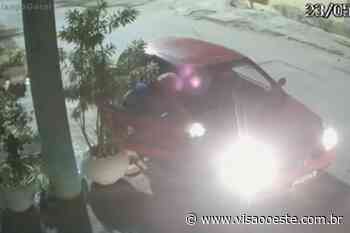 Duas mulheres são flagradas roubando vasos de plantas em Itapevi - Visão Oeste