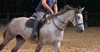 Stad Aarschot rouwt om collega Paul Hermans - Het Laatste Nieuws
