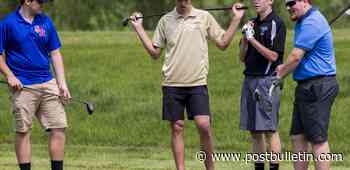 A banner day for Fillmore Central golfers in Section 1A finals - Rochester Post Bulletin