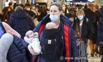 Olympian Jana Pittman carries both her three-month-old twins at Sydney Airport - Daily Mail
